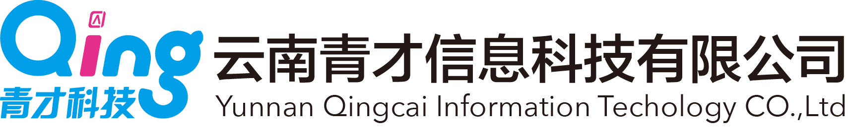 云南省软件行业协会