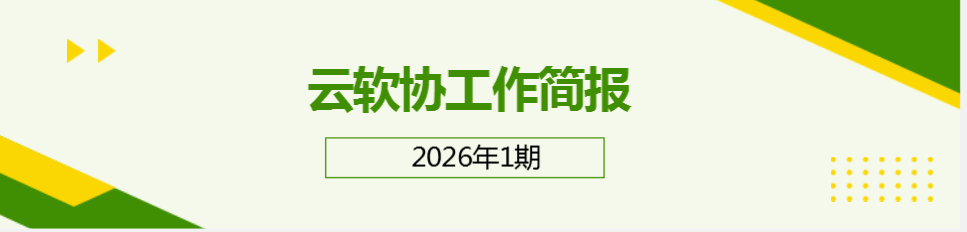 云南省软件行业协会